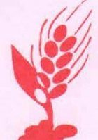 SEEDS Logo